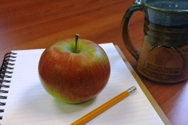 apple on a notebook with pencil