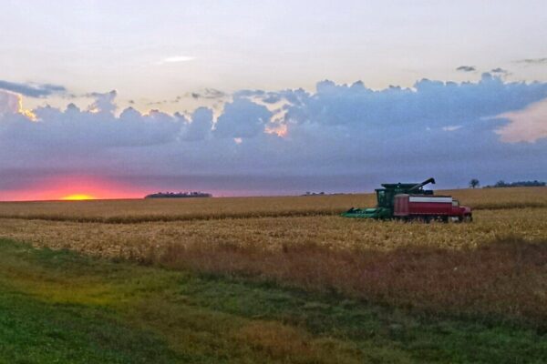 combine in field at sunset