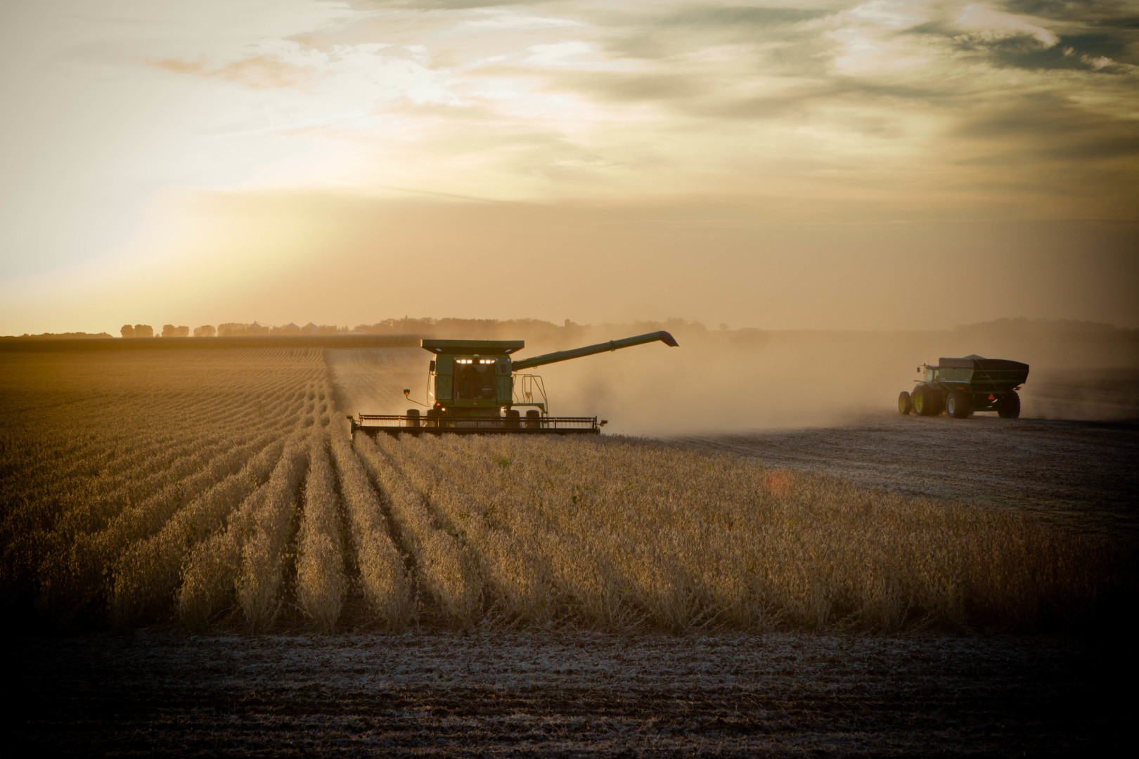 combine harvesting field