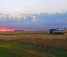 combine harvesting at sunrise