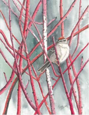 A small bird perches in the red branches of a dogwood.