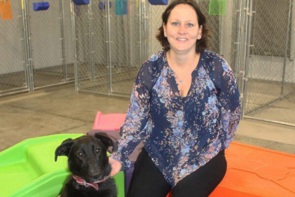 Katy sits on a bright plastic indoor dog playground and holds the collar of a black dog sitting next to her.
