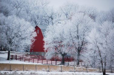 A bright red barn surrounded by trees covered in hoarfrost.