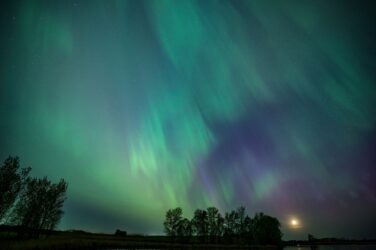 Green and purple aurora lights stretch across the night sky above a silhouette of trees and a faint moon on the horizon, reflected in a calm body of water.