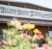 A rustic building labeled Walnut Grove Mercantile with an American flag and colorful flowers in the foreground.